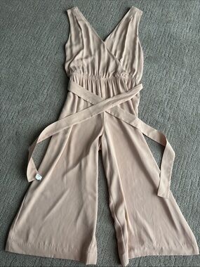 Aritzia Sleeveless V-Neck Wide-Leg Jumpsuit in Blush
